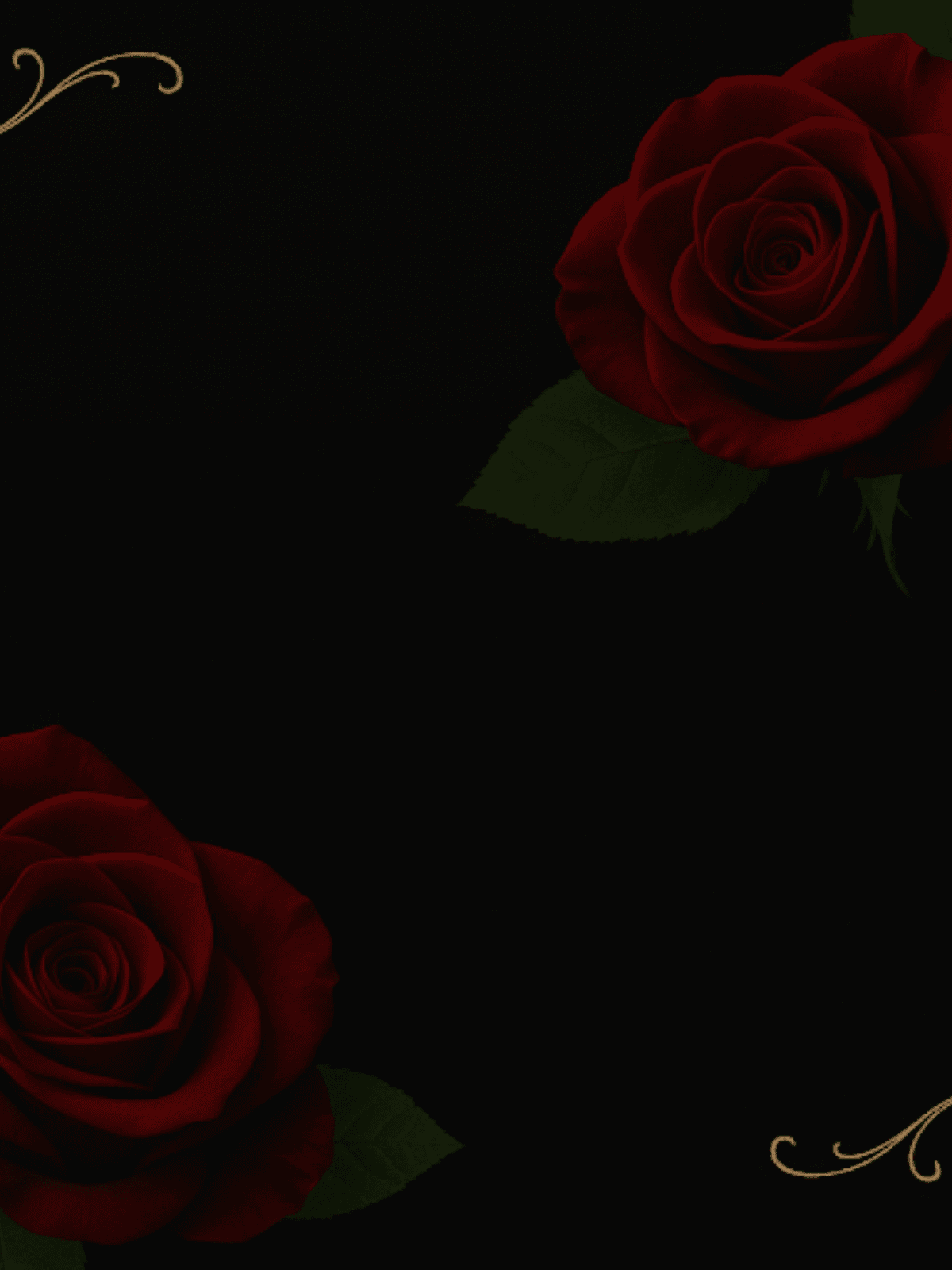 Luxury women’s lingerie collection with lace bras, bodysuits, and seductive sets by Seduced By Play